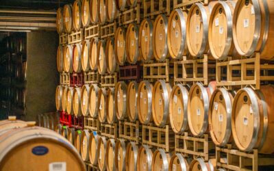 Mercato del Vino Italiano: Un Viaggio Verso il Lusso e l’Eccellenza
