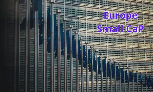 I Migliori Fondi ed ETF per Investire in Small Cap nel 2024