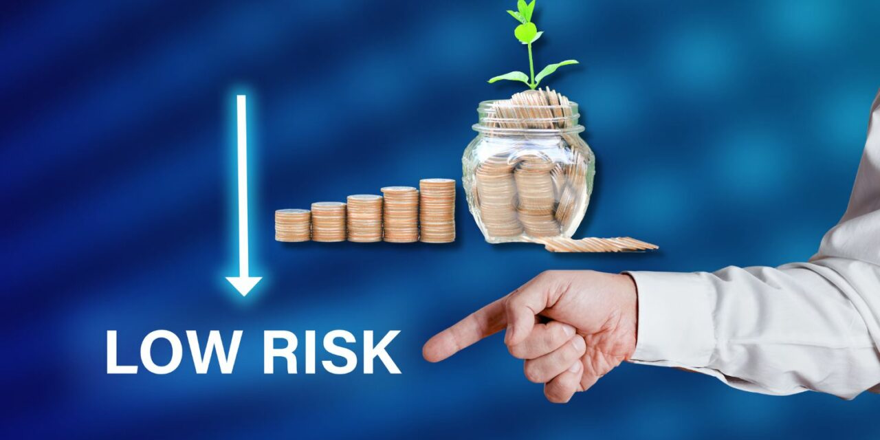 Guida gli investimenti sicuri, quali investimenti scegliere per mettere i tuoi soldi al sicuro