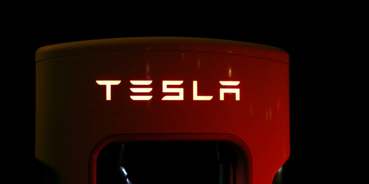 Tesla: Un 2024 da Record tra Successi e Sfide